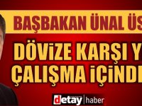 Üstel: Dövize karşı yeni çalışma içindeyiz