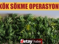 Gönyeli'de Kök Sökme Operasyonu