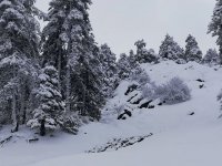 Trodos beyaza büründü