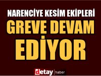 Narenciye Kesim Ekipleri Birliği’nin grevi devam ediyor