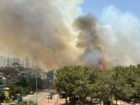 Antalya'da iki ayrı orman yangını