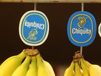 Chiquita muz şirketi Kolombiya’daki paramiliterlere maddi yardımda bulunmaktan suçlu bulundu