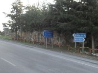 Değirmenlik-Dağ Yolu güzergahında ağaç budama ve temizlik yapılacak