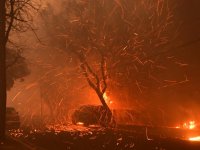 Los Angeles'taki yangınlar ABD tarihinin en maliyetli yangınlarından olabilir