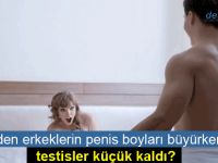 Neden erkeklerin penis boyları evrimleşip büyürken, testisler küçük kaldı?