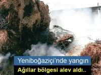 Yeniboğaziçi’nde yangın