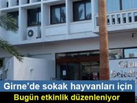 Girne’de sokak hayvanları için bugün etkinlik düzenleniyor