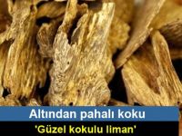 Altından pahalı koku