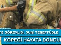 İtfaiye görevlisi, suni teneffüsle köpeği hayata döndürdü