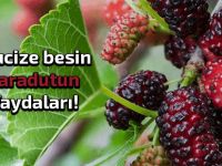 Karadutun faydaları nelerdir?