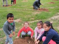 KKTC Alevi Kültür Merkezi Gazimağusa Şubesi ağaç dikti