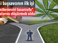 Yeni başsavcının ilk işi "hintkeneviri tasarrufu" davalarını düşürmek oldu