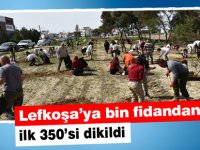 Lefkoşa’ya bin fidandan ilk 350’si dikildi