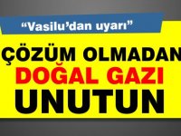 Vasiliu uyardı: "Çözüm olmadan doğal gazı unutun"