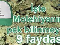 İşte Molehiyanın bilinmeyen 9 faydası!