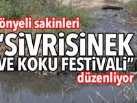 Gönyeli Yenikent sakinleri “Sivrisinek ve Koku Festivali” düzenliyor