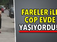 Fareler ile çöp evde yaşıyordu!..