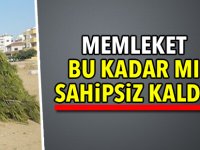 Alsancak’ta İzinsiz Ağaç Kesimi: Market İşletmecisine Yasal İşlem