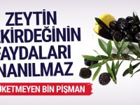 Zeytin çekirdeğinin faydaları inanılmaz öğrenince hemen tüketeceksiniz!