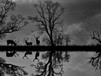 Kıbrıslı Türk fotoğraf sanatçısından büyük başarı