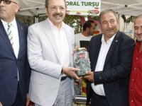 Doların turşusunu kurdular