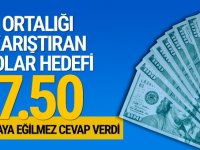 2019 dolar kuru hedefi 7.5 TL mi? Mahfi Eğilmez cevap verdi