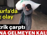 Şanlıurfa’da sözelci genç elektrik akımına kapıldıktan sonra matematikçi oldu  (Video)