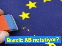 Brexit: Avrupa ne istiyor?