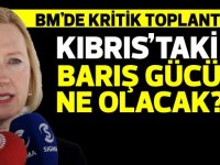 Kıbrıs'taki BM Barış Gücü Misyonu’nun görev süresinin uzatılıp uzatılmayacağını görüşüyor