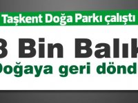 8 bin balık doğaya geri döndürüldü