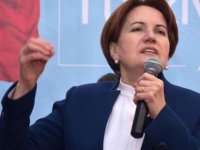 Takvim'den Meral Akşener'e hakaret: Bu manşeti anlamazsanız 'beyne iyi gelen besinler'i okuyun!