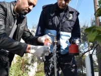 Lefkoşa’da işyerleri denetlendi, şebeke suyu analizleri yapıldı