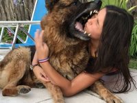 Fotoğraf çekilmek isteyen kızın yüzünü köpek ısırdı