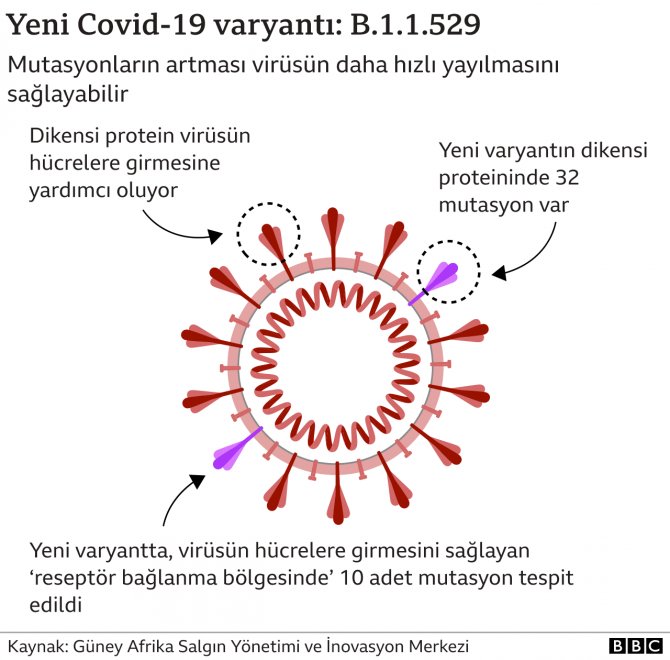 _121841875_corona_variant_b11529_v2_turkish_640_2x-nc.png