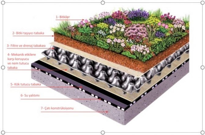 extensive-yesil-cati-sisteminin-katmanlari.jpg
