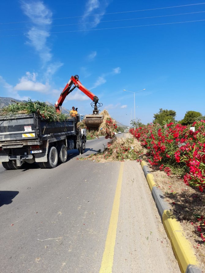 girne-belediyesi-temizlik-(3).jpeg