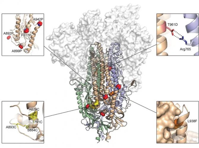 mrna.png