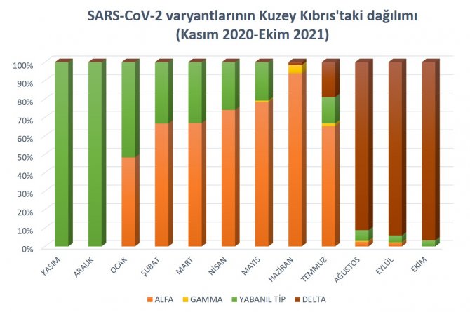 sars-cov-2-varyantlarinin-kktc’deki-son-bir-yillik-dagilimi.jpg