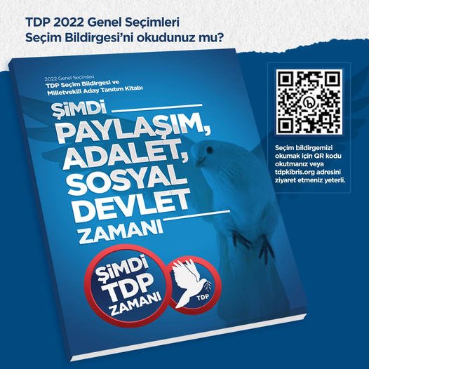 tdp_secim.jpg